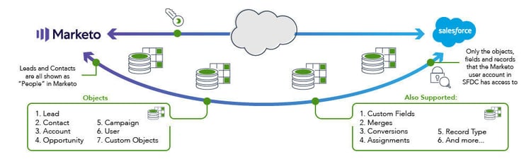 Your Marketo and Salesforce integration features a very robust relationship between the two platforms