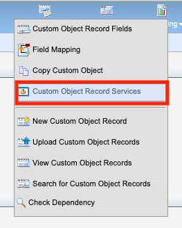 Custom Object Record Services