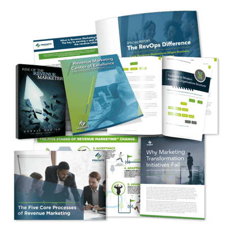 Grab this revenue marketing bundle and accelerate your transformation into a revenue-driving machine! It's a must-have resource for anyone looking into revenue marketing and hoping to gain more marketing respect.