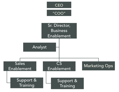 In this case study, the marketing team achieved greater customer centricity in part because of an org chart that broke down silos