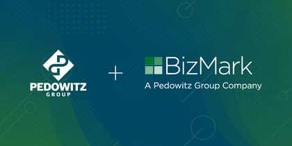 Why we acquired BizMark CT, LLC (hint: consulting is evolving)