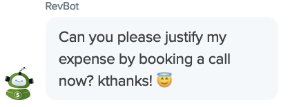 Screenshot of a bot saying "can you please justify my expense by booking a call now?" as a snarky example of a pushy sales bot