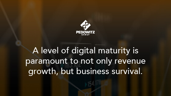A level of digital maturity is paramount to not only revenue growth, but business survival.