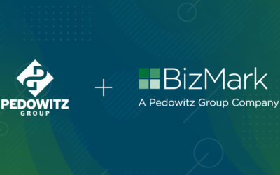 How consulting is changing … and why we acquired BizMark CT, LLC