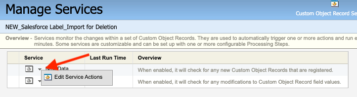 CDO Record Services 14 Edit Service Actions